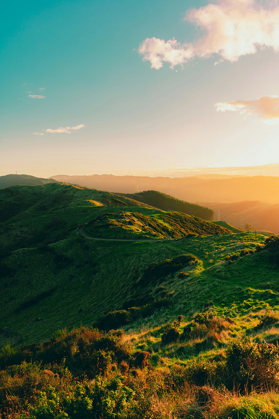 We firmly believe in green energy, which lies at the heart of what we do: we set ourselves the goal of significantly reducing greenhouse gases.